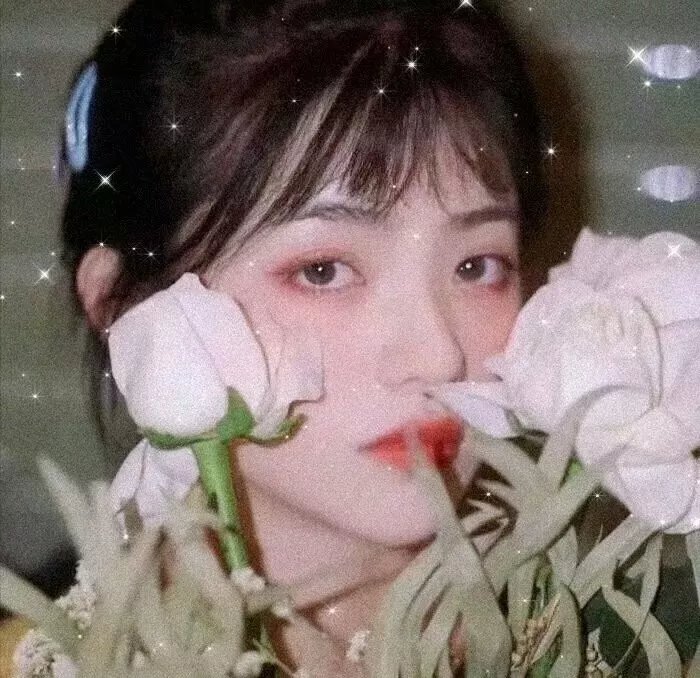 甜心战士